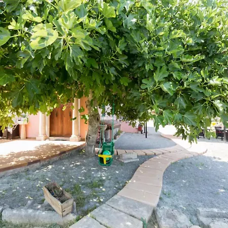Apartmán Ullal - Rural Charm Approx 73000 Meters And Outdoor Adventure Agritourism With Private Mountain Path Approximately 5 Minutes Walking From The Ideal For Relaxation Port de Pollença