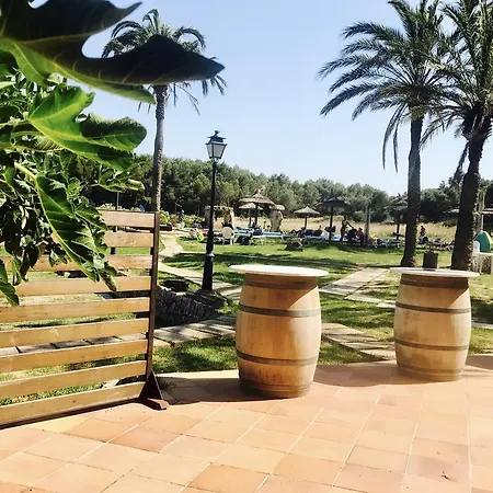 Puerto De Pollensa And Apartments, With Private Mountain Ideal For Runners, Trailers,near Approximately 5 Minutes Walking, Unique Experience In A Ullal Old Typical Mallorca House With Private Mountain And Near To The Beac * Поланко